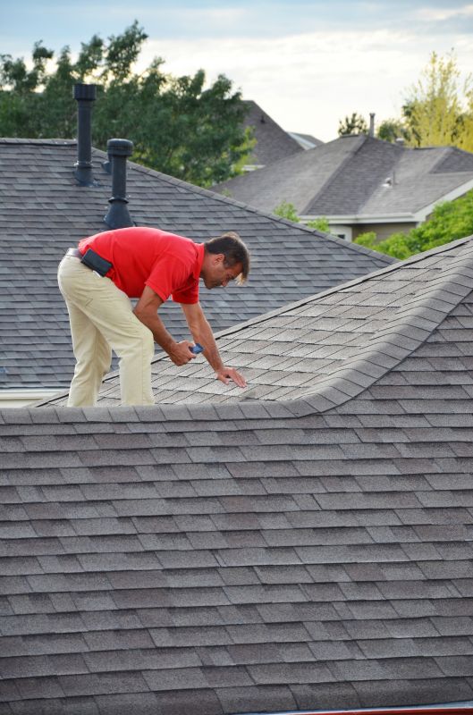 Specialty Roofing Services